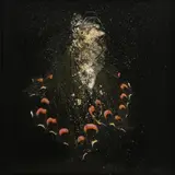 Untitled by Mat Collishaw, print, offered May 2025