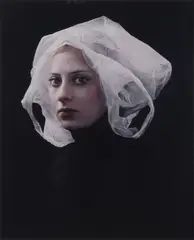 Bag by Hendrik Kerstens, Chromogenic print, mounted to aluminium, image/sheet size, offered May 2025