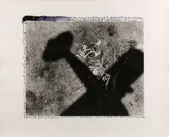 Untitled by Peter Beard, Silver gelatin print with ink, executed later, image size, offered May 2025