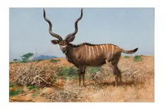 Untitled by Wilhelm Kuhnert, oil on board, offered Apr 2025