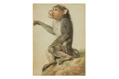 Untitled by Aert Schouman, watercolour, offered Apr 2025