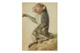 Untitled by Aert Schouman, watercolour, offered Apr 2025