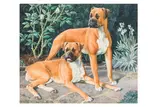 R.a. (british, 1901-1979) by Charles Frederick Tunnicliffe, pencil and watercolour, offered Apr 2025