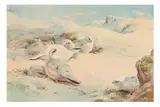 Untitled by Archibald Thorburn, print, offered Apr 2025