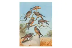 Untitled by John Cyril Harrison, watercolour and bodycolour, offered Apr 2025