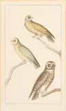 Untitled by Jean Gabriel Prêtre, watercolour, offered Apr 2025