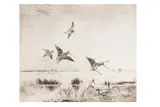 Untitled by Roland Green, etching, offered Apr 2025