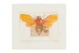 Untitled by Leonard Baskin, pencil, offered Apr 2025