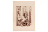 Untitled by Burton Brothers, photograph, offered Mar 2025