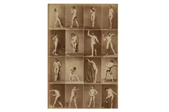 c. 1880s by Nude Studies, photograph, offered Mar 2025