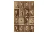 c. 1880s by Nude Studies, photograph, offered Mar 2025