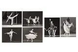 Untitled by Leslie Spatt, photograph, offered Mar 2025