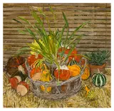 R.A. (BRITISH, b.1936) by Olwyn Bowey, oil on board, offered Mar 2025