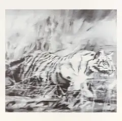 Untitled by Gerhard Richter, print, offered Feb 2025