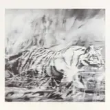 Untitled by Gerhard Richter, print, offered Feb 2025