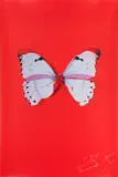 Untitled by Damien Hirst, pencil, offered Feb 2025