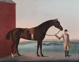 Horse held by his rider on newmarket heath by Benjamin Killingbeck, Oil on canvas, sold Oct 2024