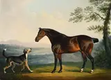 A horse with a hound in a wooded landscape by Daniel Clowes, Oil on canvas, sold Oct 2024