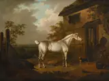 A grey hunter with a dog outside a stable by Charles Townley, Oil on canvas, sold Oct 2024