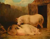 Pigs in a sty by George Morland, Oil on canvas, sold Oct 2024