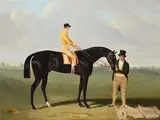 The duke of westminster's horse by Harry Hall, Oil on canvas, sold Oct 2024