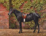 Portrait of a black horse by Frances Mable Hollams, Oil on canvas, sold Oct 2024