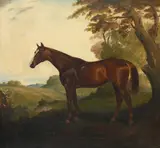 A bay horse in a wooded landscape by James Lynwood Palmer, Oil on canvas, sold Oct 2024