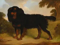 'floss' by Henry S. Cottrell, Oil on canvas, sold Oct 2024