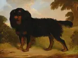 'floss' by Henry S. Cottrell, Oil on canvas, sold Oct 2024