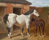 A grey mare with her foal in a farmyard by John Frederick Herring Senior, Oil on panel, sold Oct 2024