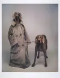 Dog Walker by William Wegman, lithograph, sold Jul 2024