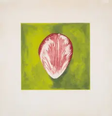 Tulip Petal #2 by Rory McEwen, pencil, sold Jul 2024
