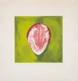 Tulip Petal #2 by Rory McEwen, pencil, sold Jul 2024
