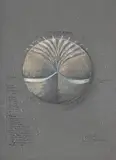 Study for pebble water feature by Angela Conner, 1989, Pastel and chalk, sold Jul 2024