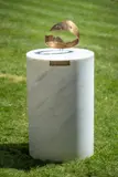 Five o'clock shadow by Angela Conner, 1986, Bronze with a gold patina on a marble base, sold Jul 2024