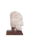 Head of a man by Sven Berlin, 1957, sculpture, sold Jul 2024