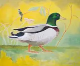 Study of a duck by Caroline Conran, oil on canvas, sold Nov 2024