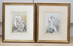 Tawny owl chick and Barn owl chick by Ian Bowles, watercolor, sold Nov 2024