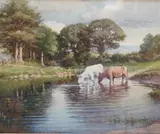 Cattle watering by Kate Dobbin, watercolour, sold Nov 2024