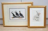 Study of puffins by Martin Salmon, watercolour, sold Nov 2024