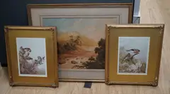 Birds on branches by Archibald Thorburn, pencil, sold Nov 2024