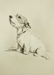 Biscuits by Lucy Dawson, etching, sold Nov 2024