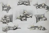 The Model Who Wouldn by Cecil Aldin, lithograph, sold Oct 2024