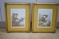 Birds on branches by Archibald Thorburn, pencil, offered Oct 2024