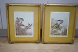 Birds on branches by Archibald Thorburn, pencil, offered Oct 2024