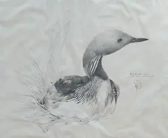 Untitled by Raymond Ching, pencil, sold Oct 2024