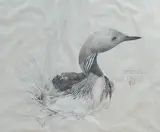 Untitled by Raymond Ching, pencil, sold Oct 2024