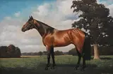 Equestrian interest by Jean Glenn Mitchell, oil on canvas, sold Oct 2024