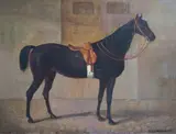 Portrait of a saddled horse in a stable by Hubert Henrard, 1871, oil on canvas, sold Oct 2024