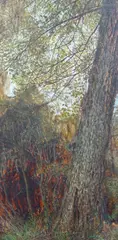 Landscape study, Memory of Giorgione by Maurice Raymond Sheppard, oil on board, sold Aug 2024
